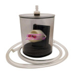 Buzzer in a Vacuum